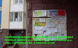 Объявление №13985 » Услуги » Расклейка объявлений